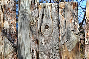 Old wooden weathered fence