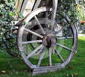 Old wooden wheel from horse cart