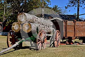 Old wooden wheel trailer loaded with huge logs