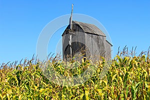 Old wooden windmill on a corn field