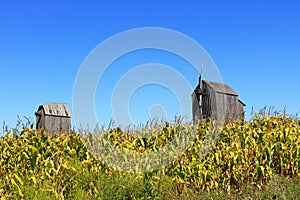 Old wooden windmill on a corn field