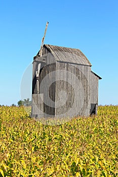 Old wooden windmill on a corn field