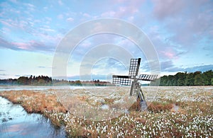 Old wooden windmill on swamp with cotton grass