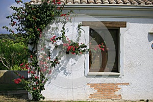 Old wooden window and door