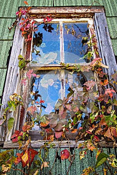 Old wooden window frame