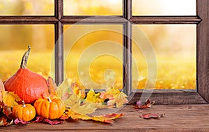 Old wooden window and view to autmn backyard with yellow falling leaves, autumn still life