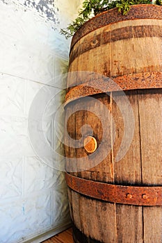 Old wooden wine barrel