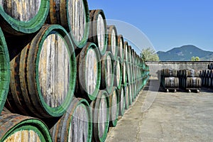 Old wooden wine barrels stacked in open air