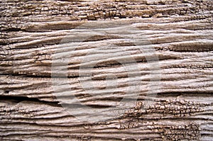 Old woodgrain