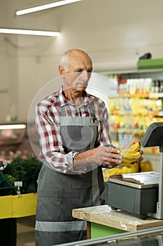 Old worker weighing bananas on scales in a store or supermarket. Retail concept