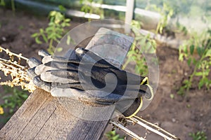 Old working gloves on wooden railing