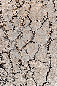 Old worn and cracked asphalt with cracks