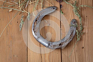 An old worn horseshoe with studs and dry grass blades. .