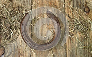 Old worn horseshoes on the background of old wooden planks.