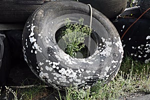 Old and worn out rubber tyres