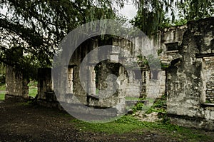 Old and worn ruins, abandoned building surrounded by lots of vegetation and trees
