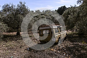 Old worn truck landrover left behind in olive grove