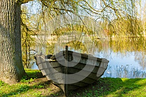 Old worn wooden boat ashore under a tree near a small pond