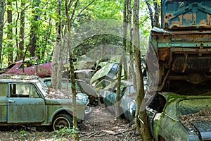 Old Wrecked Cars in Woods