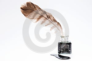 Old writing feather in the black ink pot