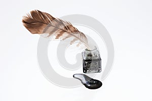 Old writing feather in the black ink pot