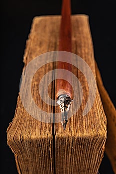 Old writing-nib on the background of an old book. Accessories for writing old letters