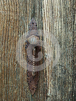 Old wrought iron handle with opening device and shaped plate of an ancient wooden door