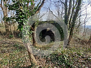 Old ww2 bunker in forest