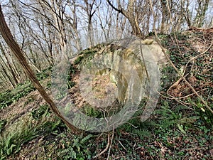 Old ww2 bunker in forest