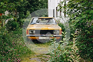 Old, yellow car with broken window in an overgrown parkway