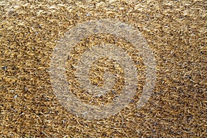 Old yellow fleecy hemp carpet. rough surface texture
