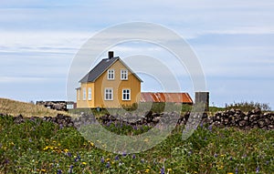 Old Yellow House