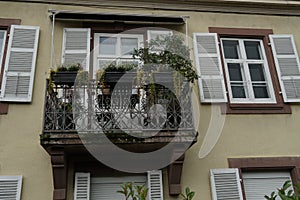 Old yellow house with balcony overgrown by moss with metal railings decorated with pots and flowers, windows and wooden shutters.