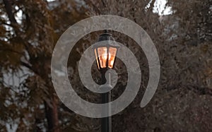 an old yellow street lamp on the background of autumn trees. Vintage lamps