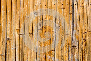 Old yellow wooden reed wall fence background