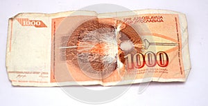 Old yugoslavia dinars, paper money photo