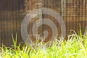 Old zinc wall with grass.