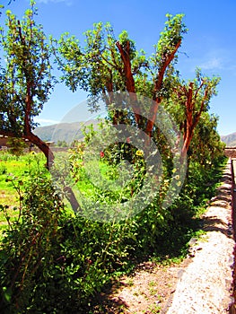 Olde Village Inca Trails, Country side of Peru.