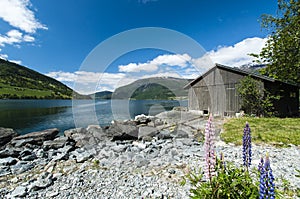 Olden fjord with boatshed photo