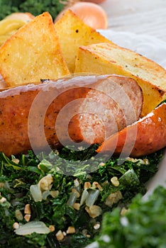 Oldenburg grÃÂ¼nkohl