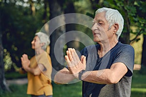 Older active couple do meditation practice outdoors