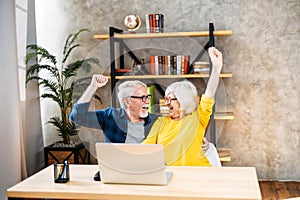 Older couple looks on laptop with a winery smiles