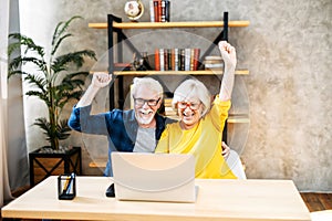 Older couple looks on laptop with a winery smiles