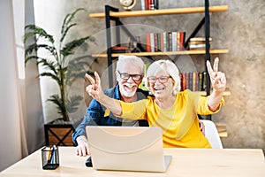 Older couple looks on laptop with a winery smiles