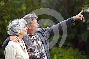 Older couple, pointing or love to relax in park by thinking, bonding or together in happy retirement. Senior people