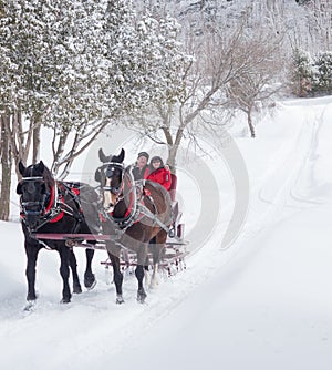 An older couple on a sleigh ride