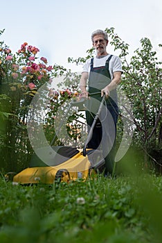 Older man mowing the lawn