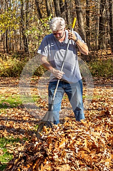 Older man raking fallen leaves