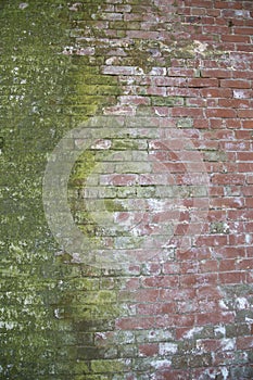 Older red brick wall with contrasting green moss