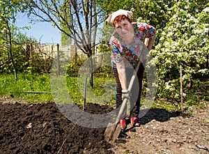 An older woman digging garden
